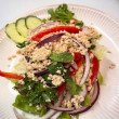 Laab kai (kip.uien.korriander.lemon.green chili)